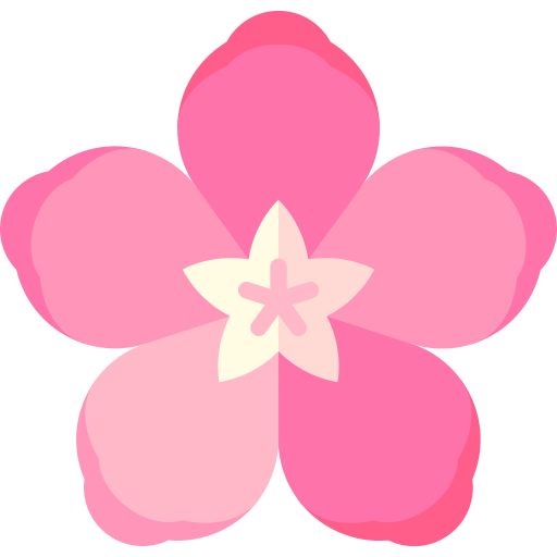 Decoration